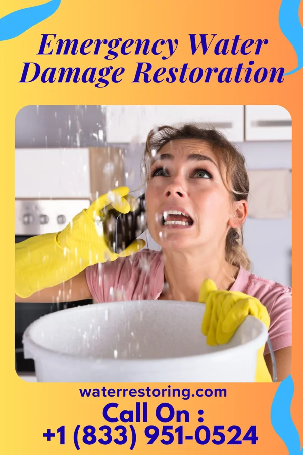 Emergency Water Damage Restoration in East Moline, IL