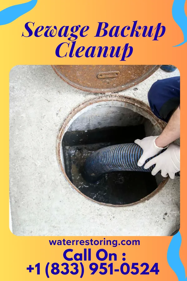 Sewage Backup Cleanup in East Moline, IL